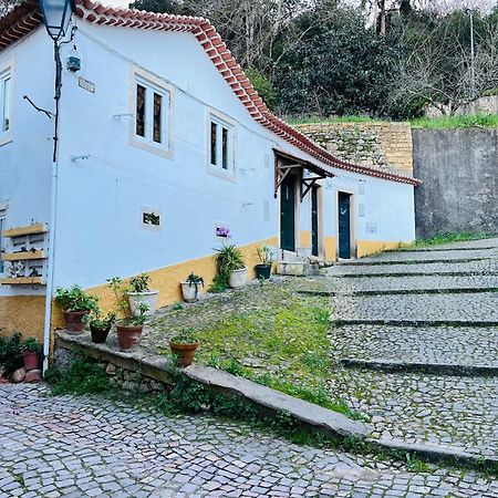 Pe Do Castelo Casinha - Pet Friendly & Garage Villa Tomar Eksteriør bilde