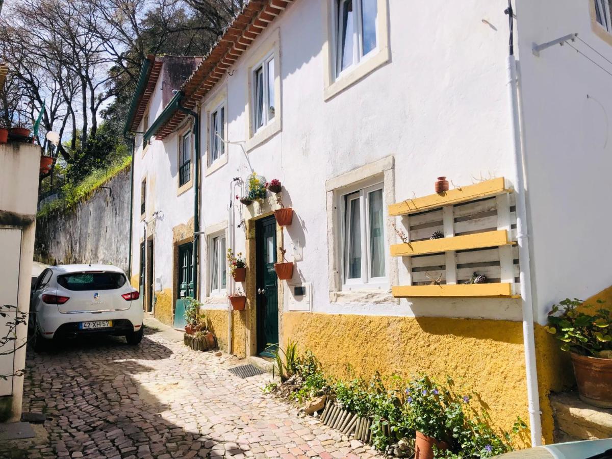 Pe Do Castelo Casinha - Pet Friendly & Garage Villa Tomar Eksteriør bilde