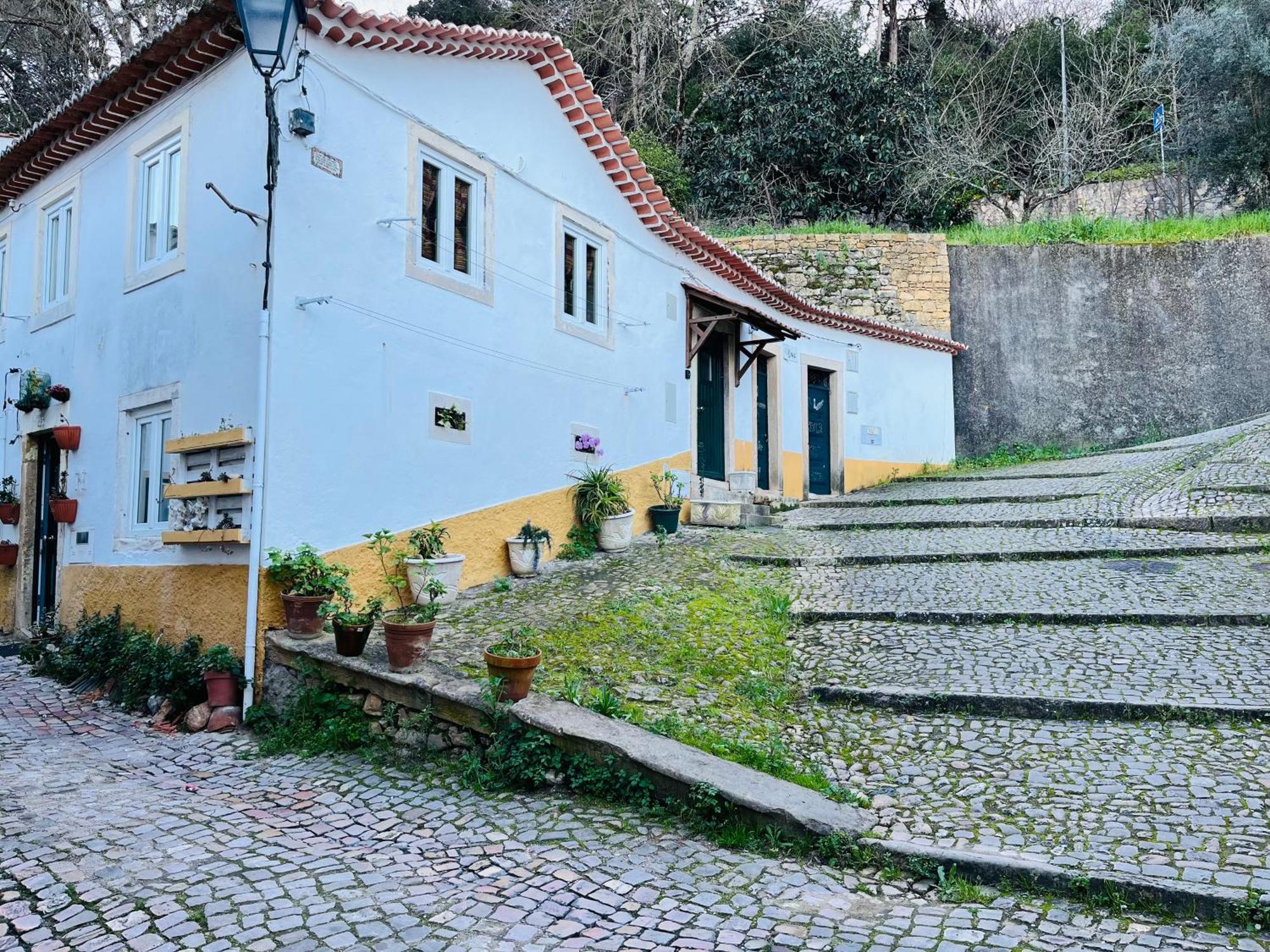 Pe Do Castelo Casinha - Pet Friendly & Garage Villa Tomar Eksteriør bilde